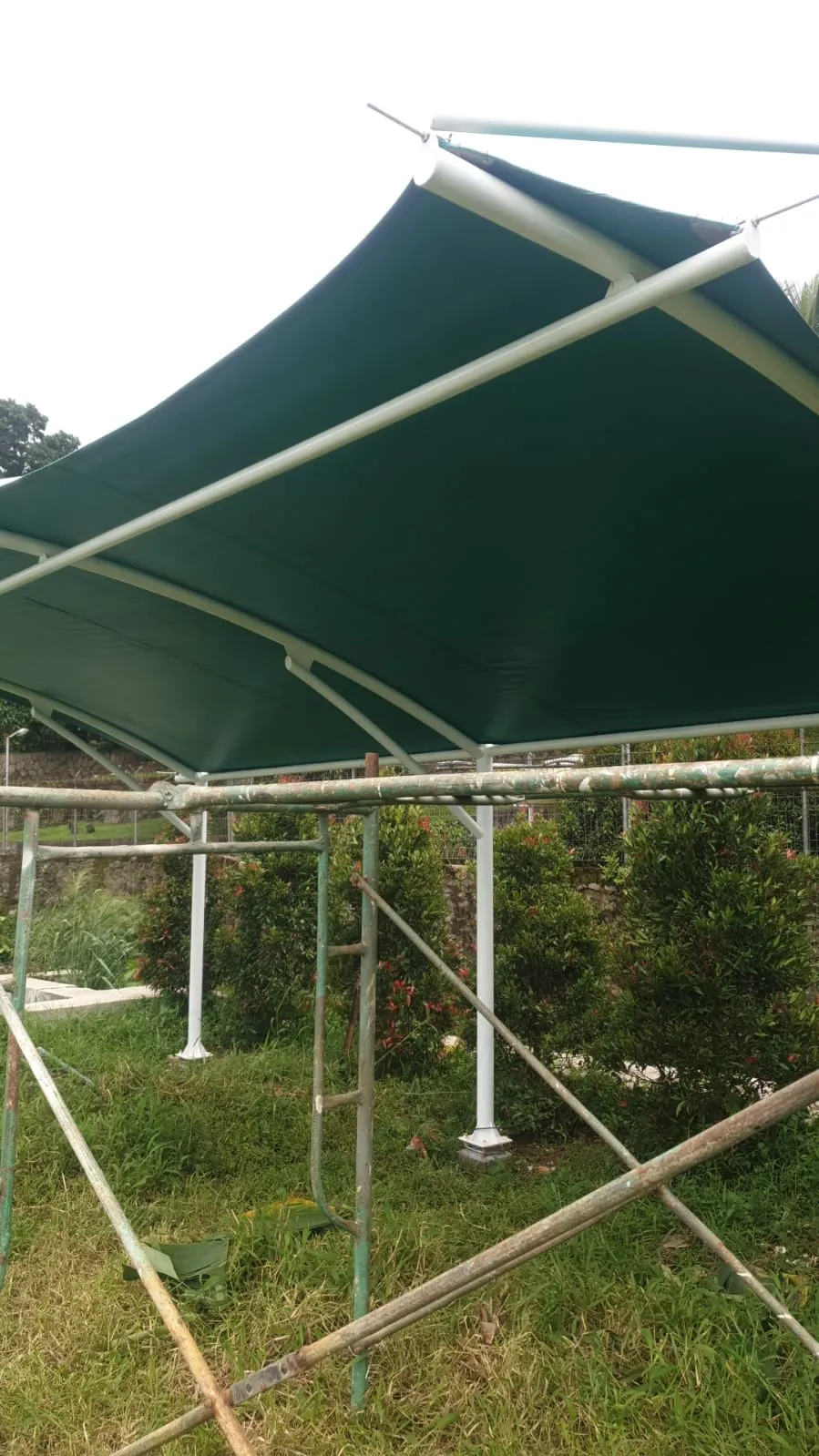 Portofolio Canopy